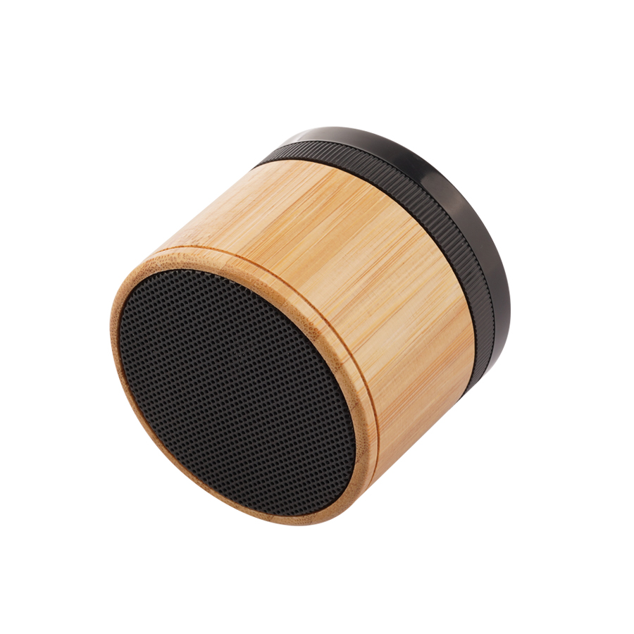 BT0019W Speaker